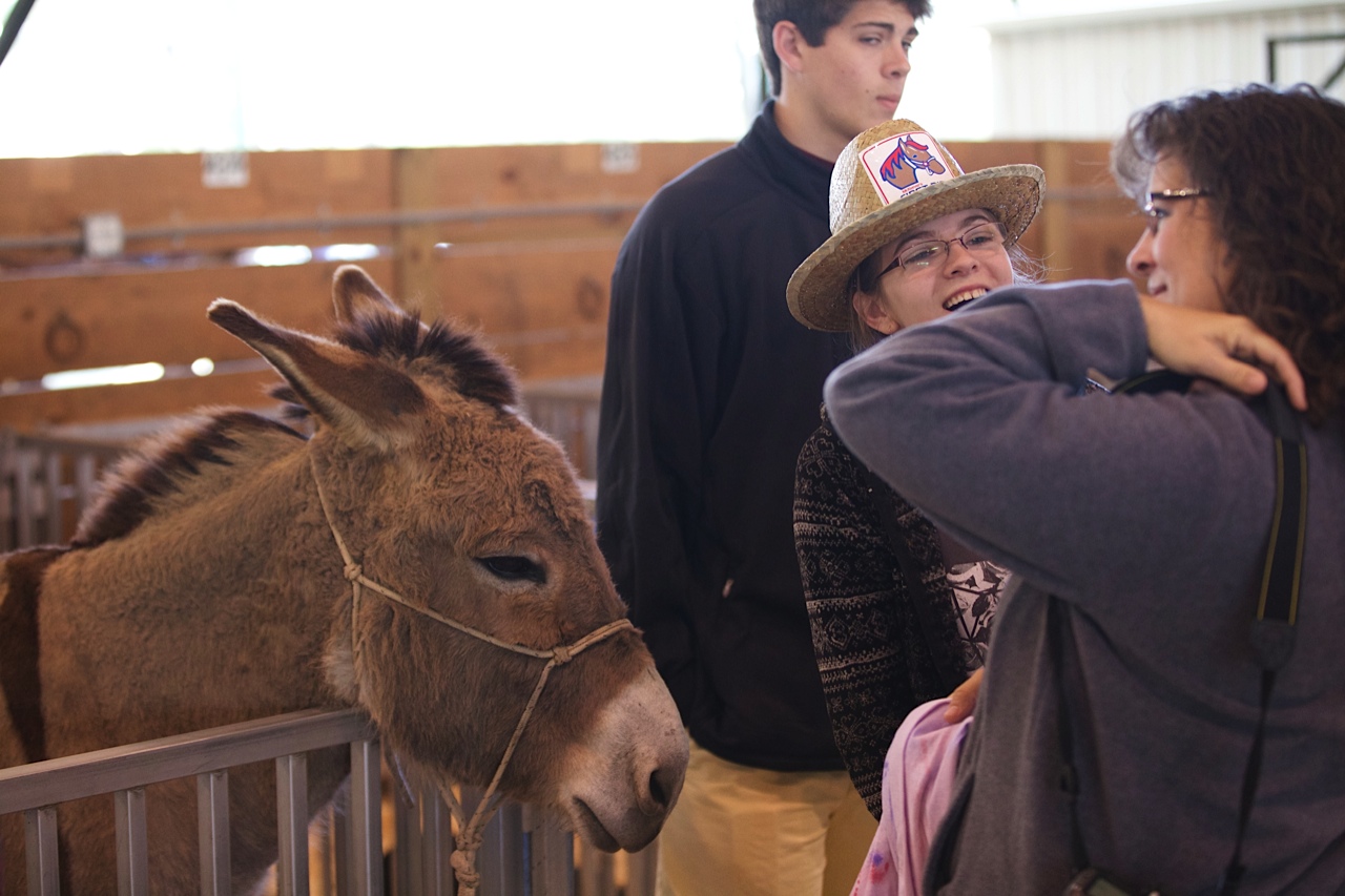 Petting Zoo