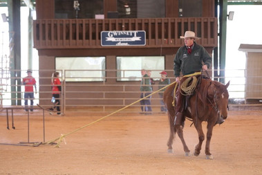 ed-dabney-equine-demonstrations