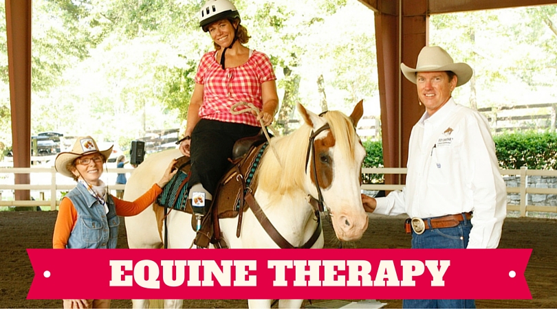 Equine Therapies