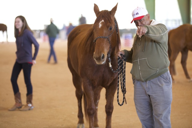 horse-wrangling-atlanta-event-2015